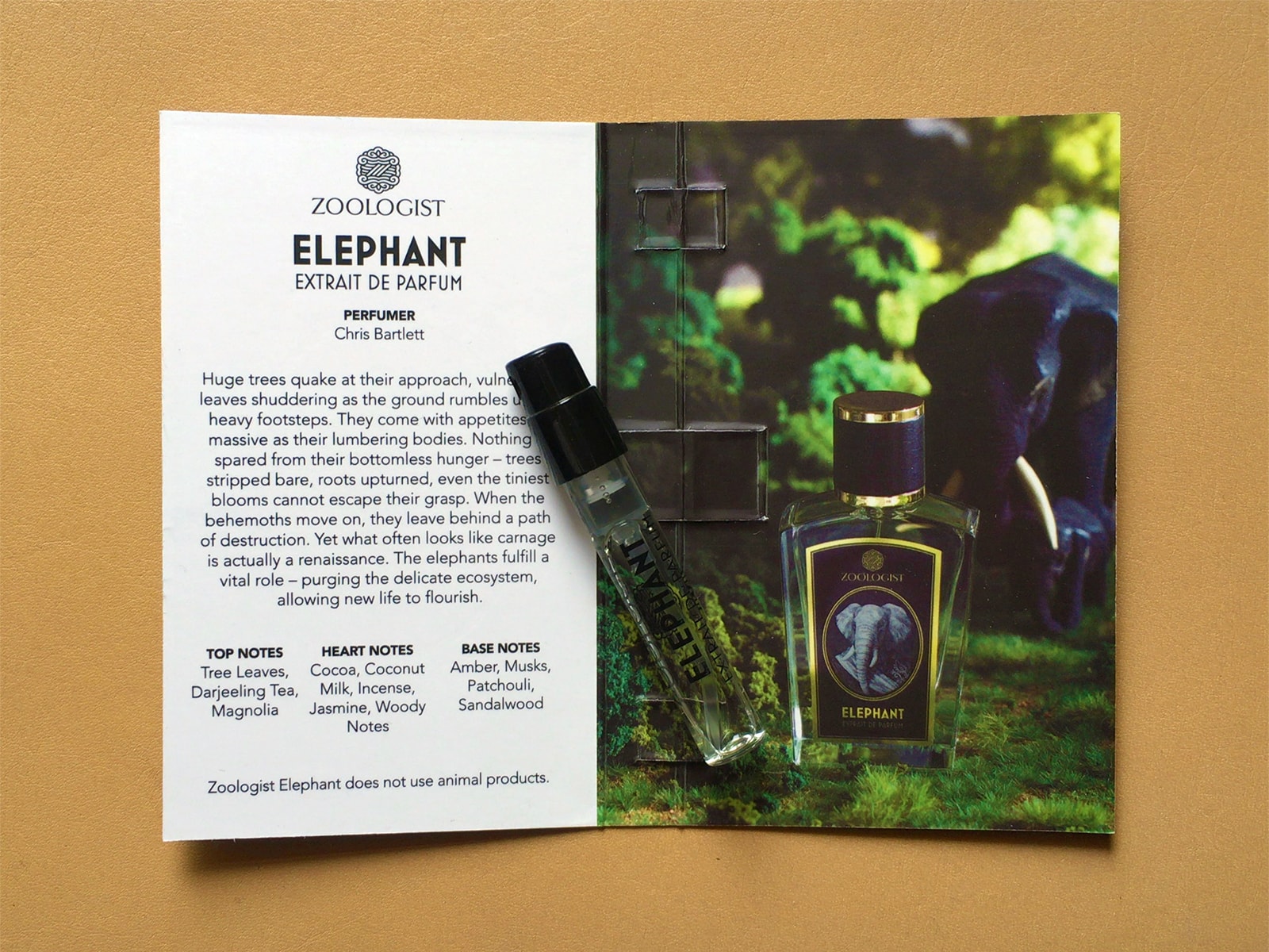 Elephant – Zoologist